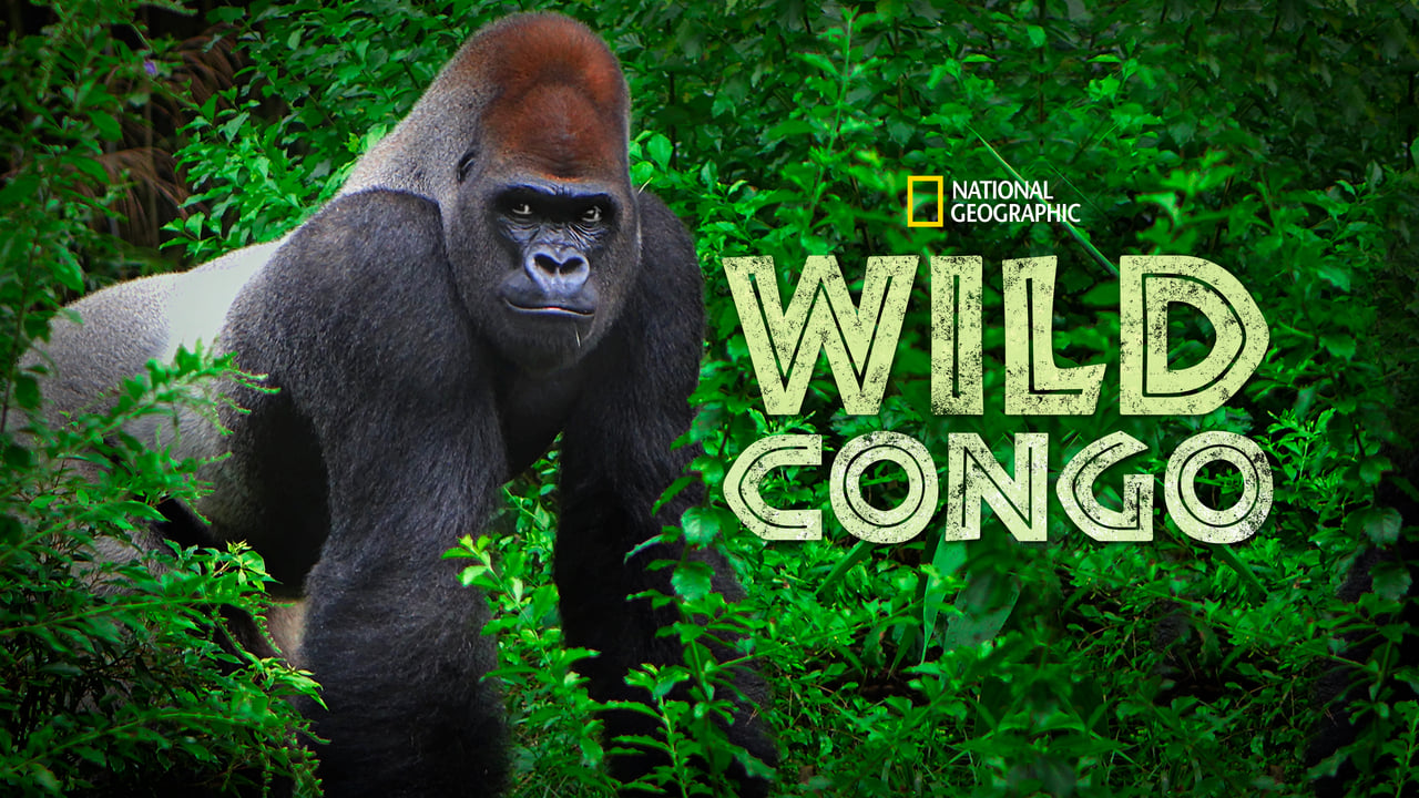 Wild Congo background