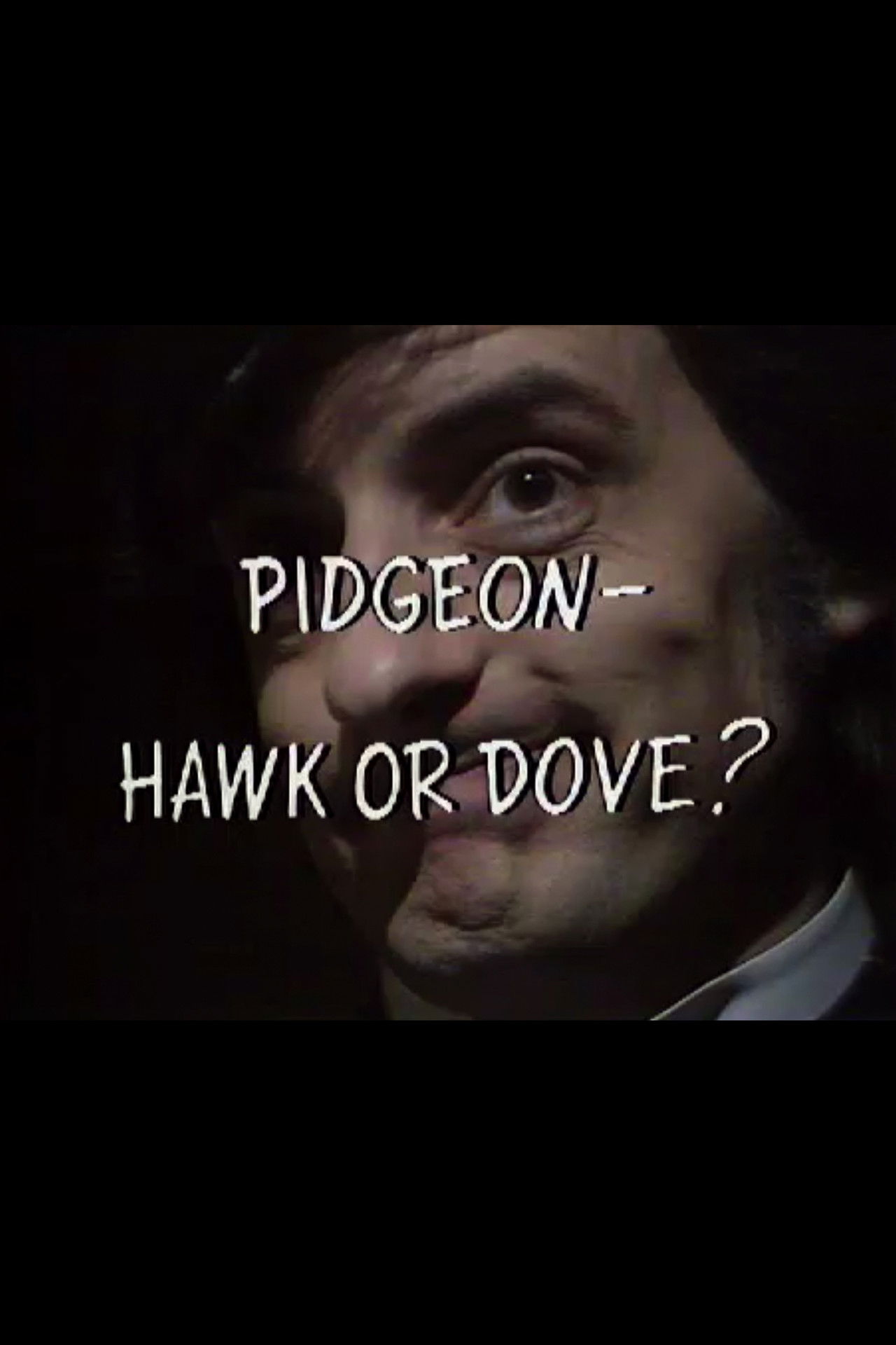 Pidgeon – Hawk or Dove? Backdrop