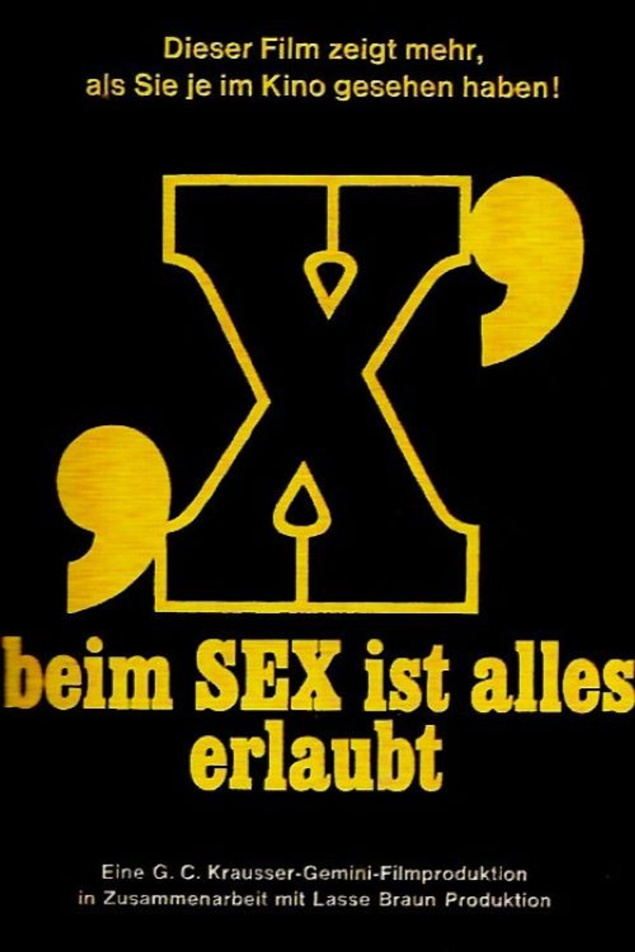X - Beim Sex ist alles erlaubt filmaffisch
