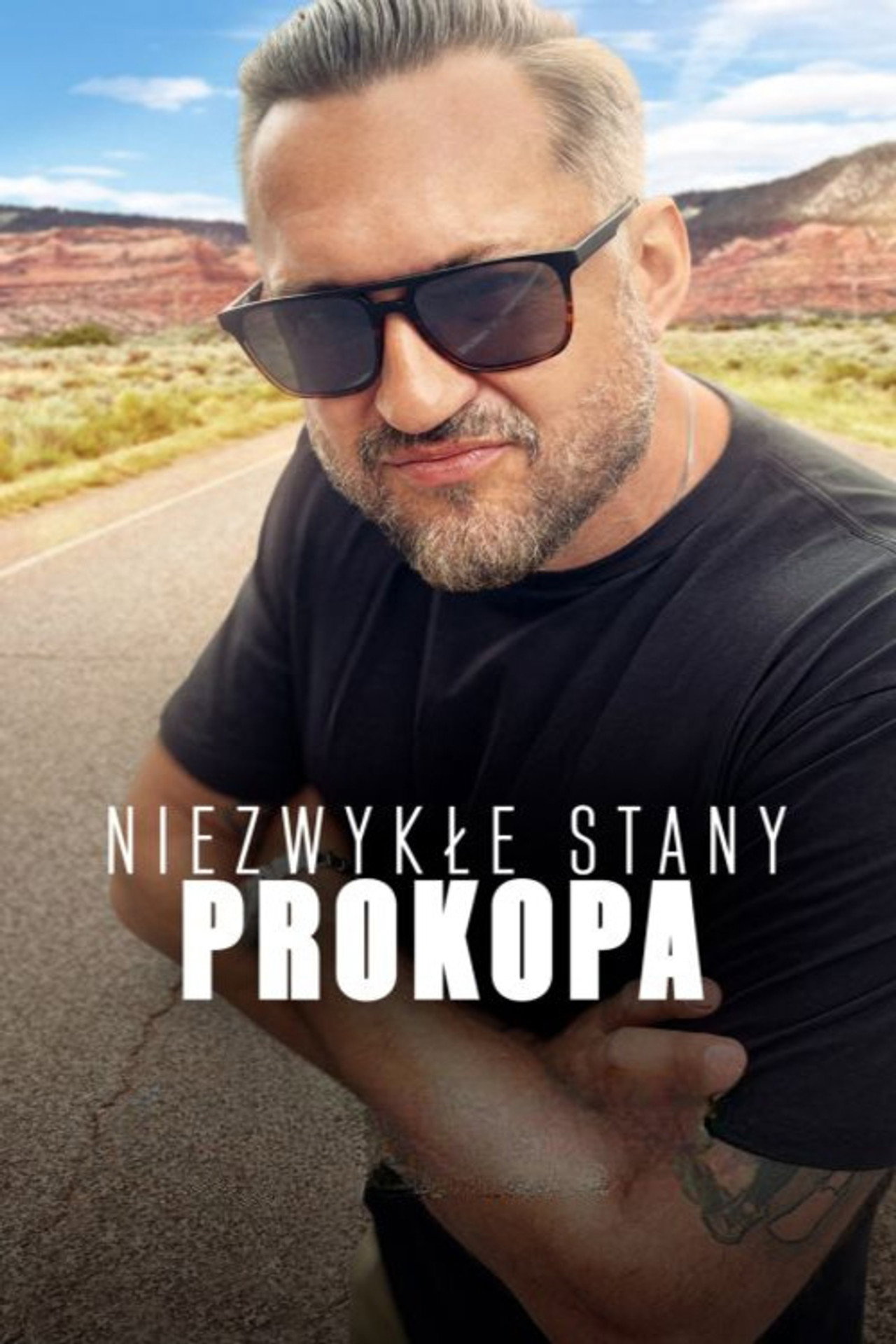 Niezwykłe Stany Prokopa affisch