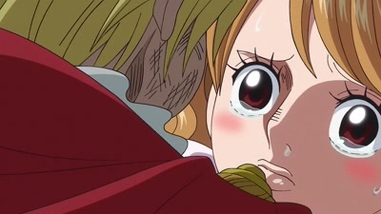 One Piece - Season 19 Episode 810 : The End of the Adventure - Sanji's Resolute Proposal