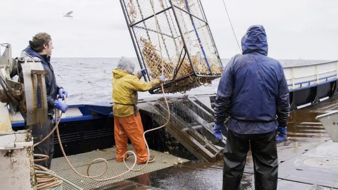 Deadliest Catch - Season 17 Episode 5 : Force Majeure