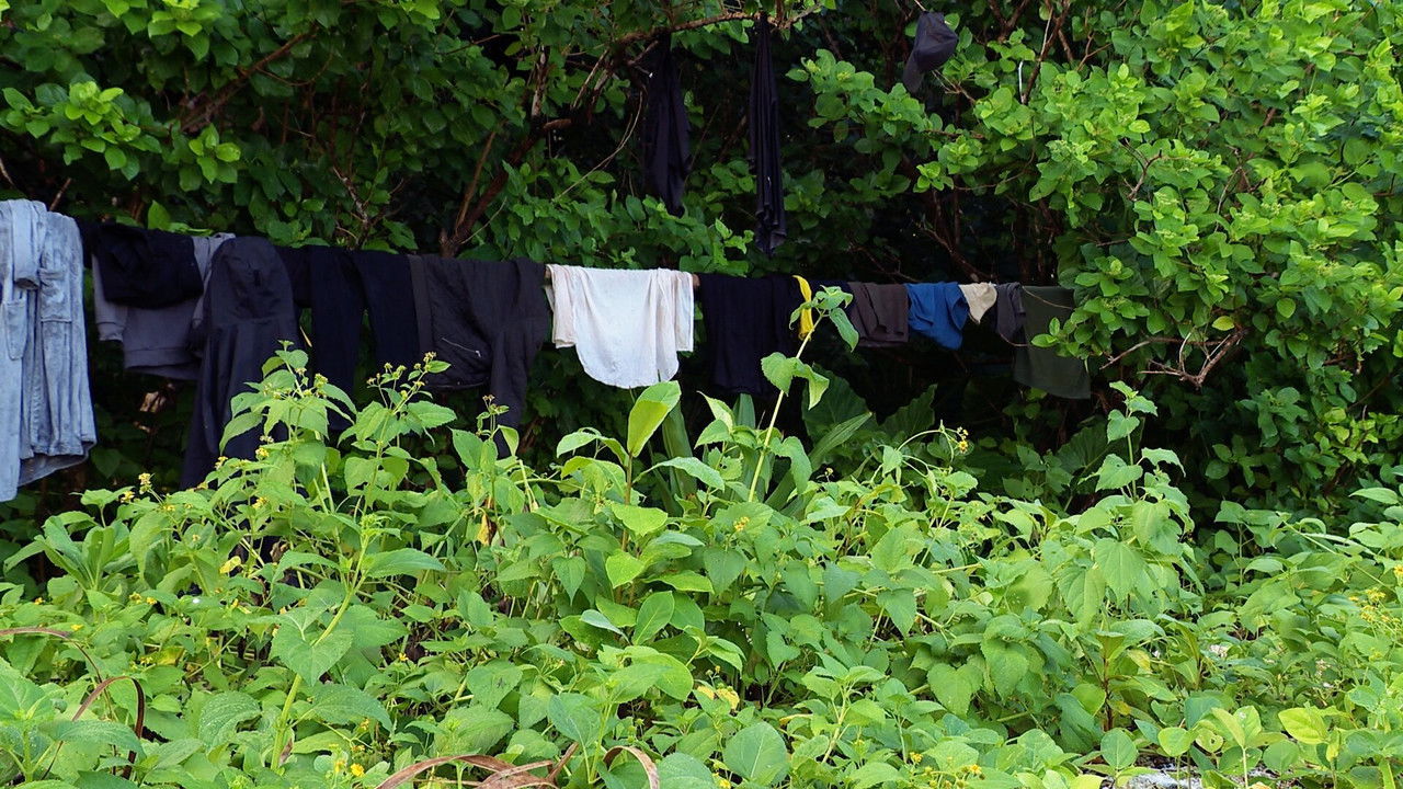 Robinson - Season 25 Episode 6 : Episode 6