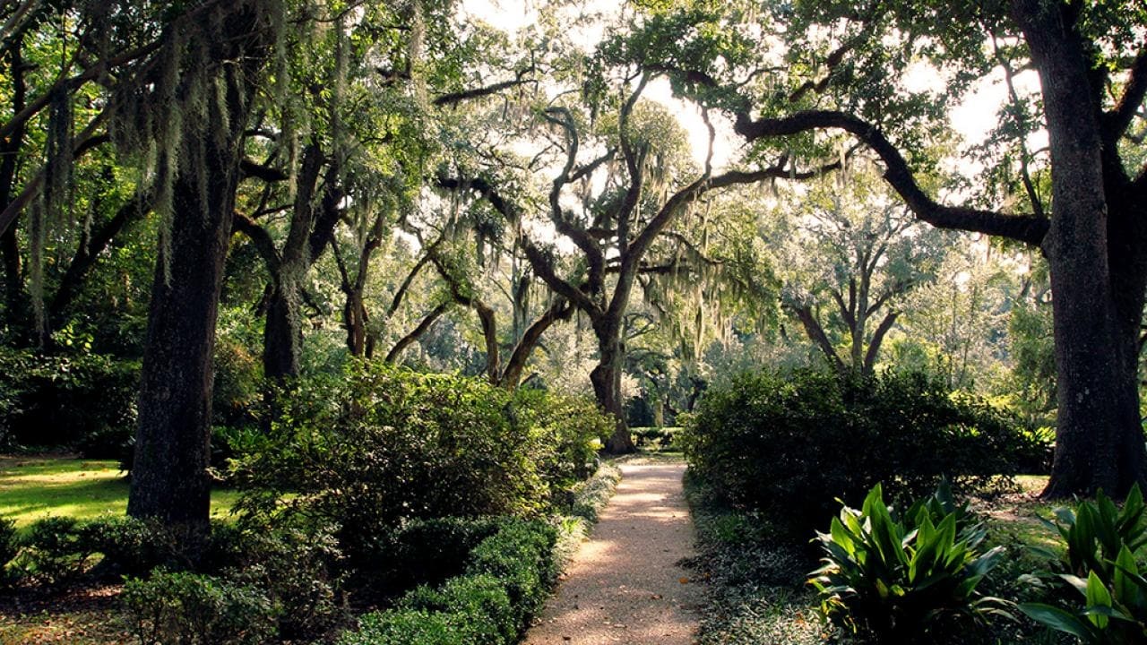 Ghost Adventures - Season 9 Episode 2 : The Myrtles Plantation