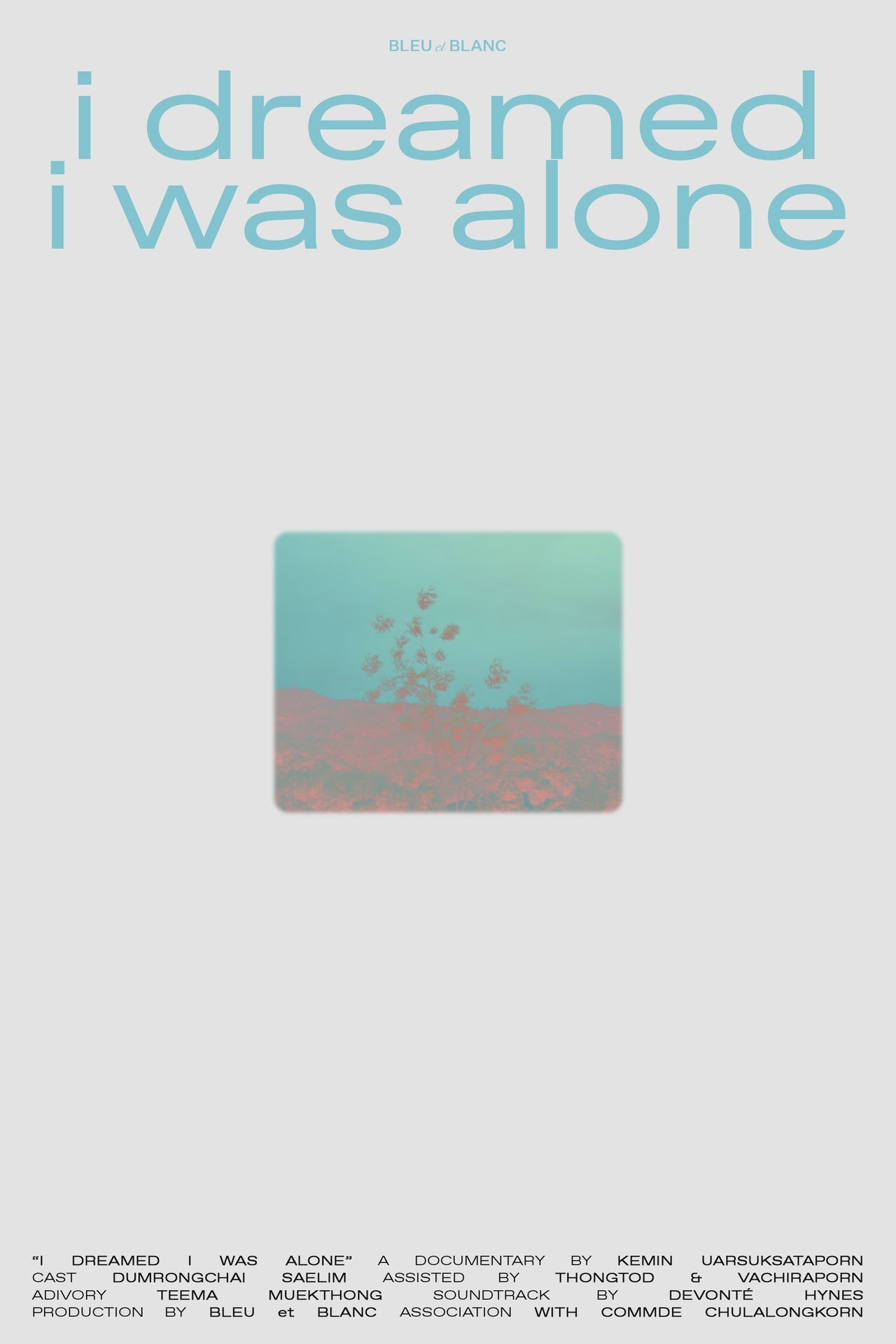 i dreamed I was alone poster
