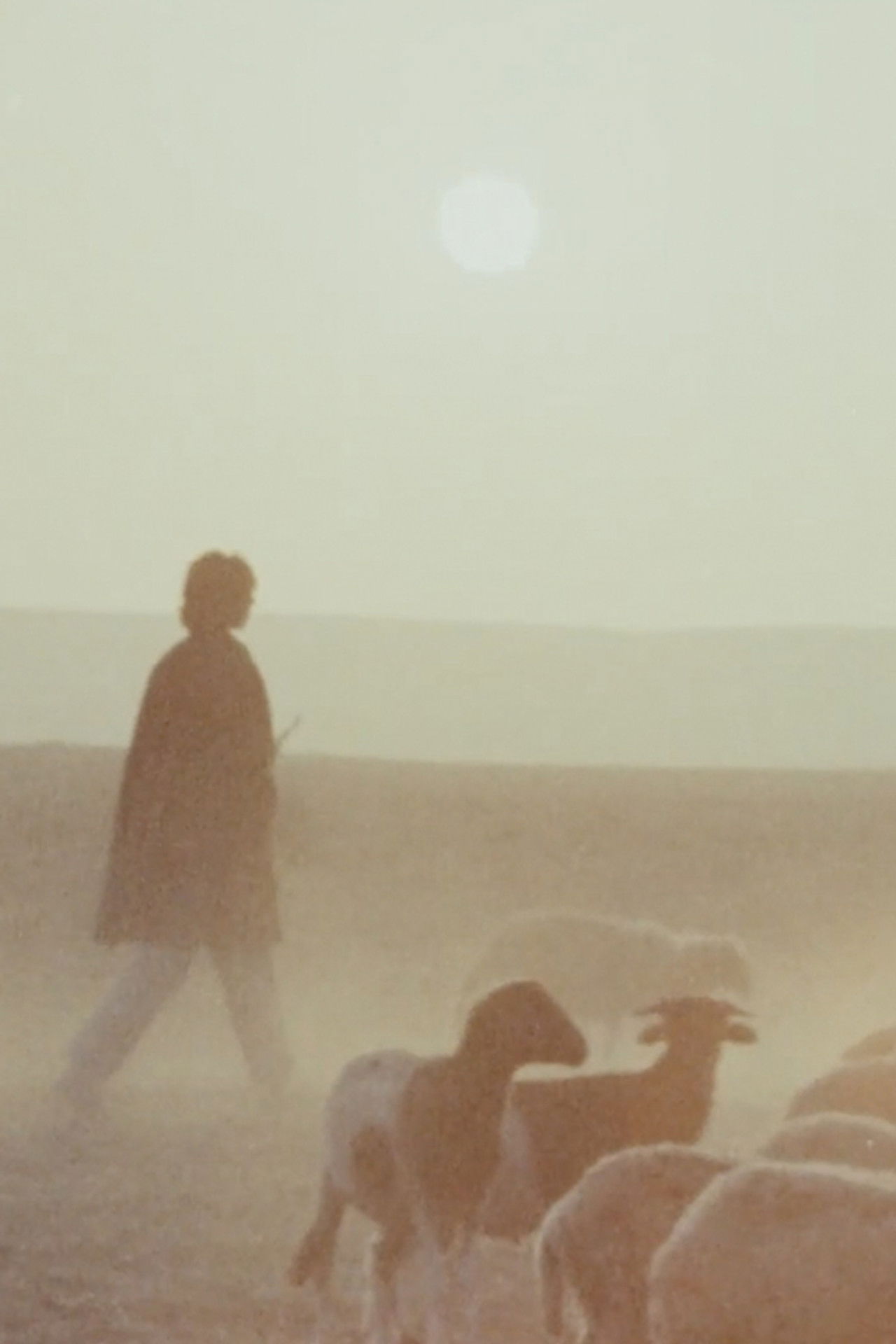 Woman is Sweeter Backdrop