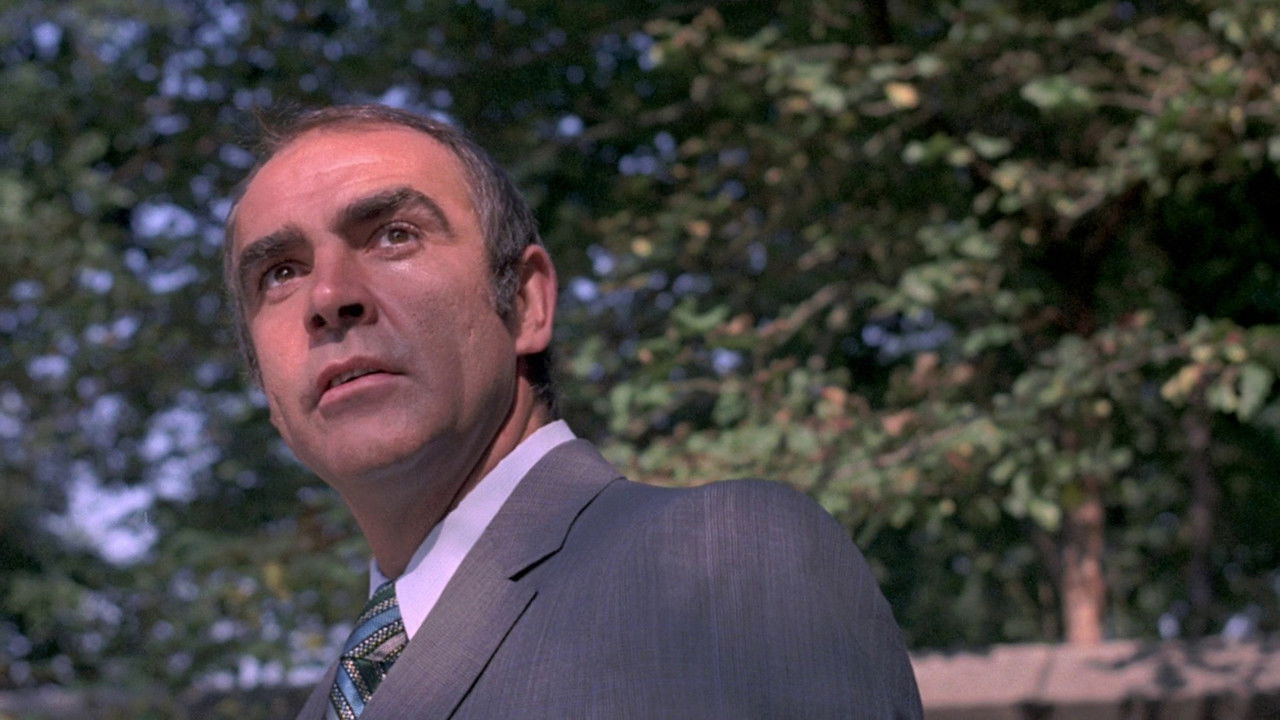 The Anderson Tapes backdrop