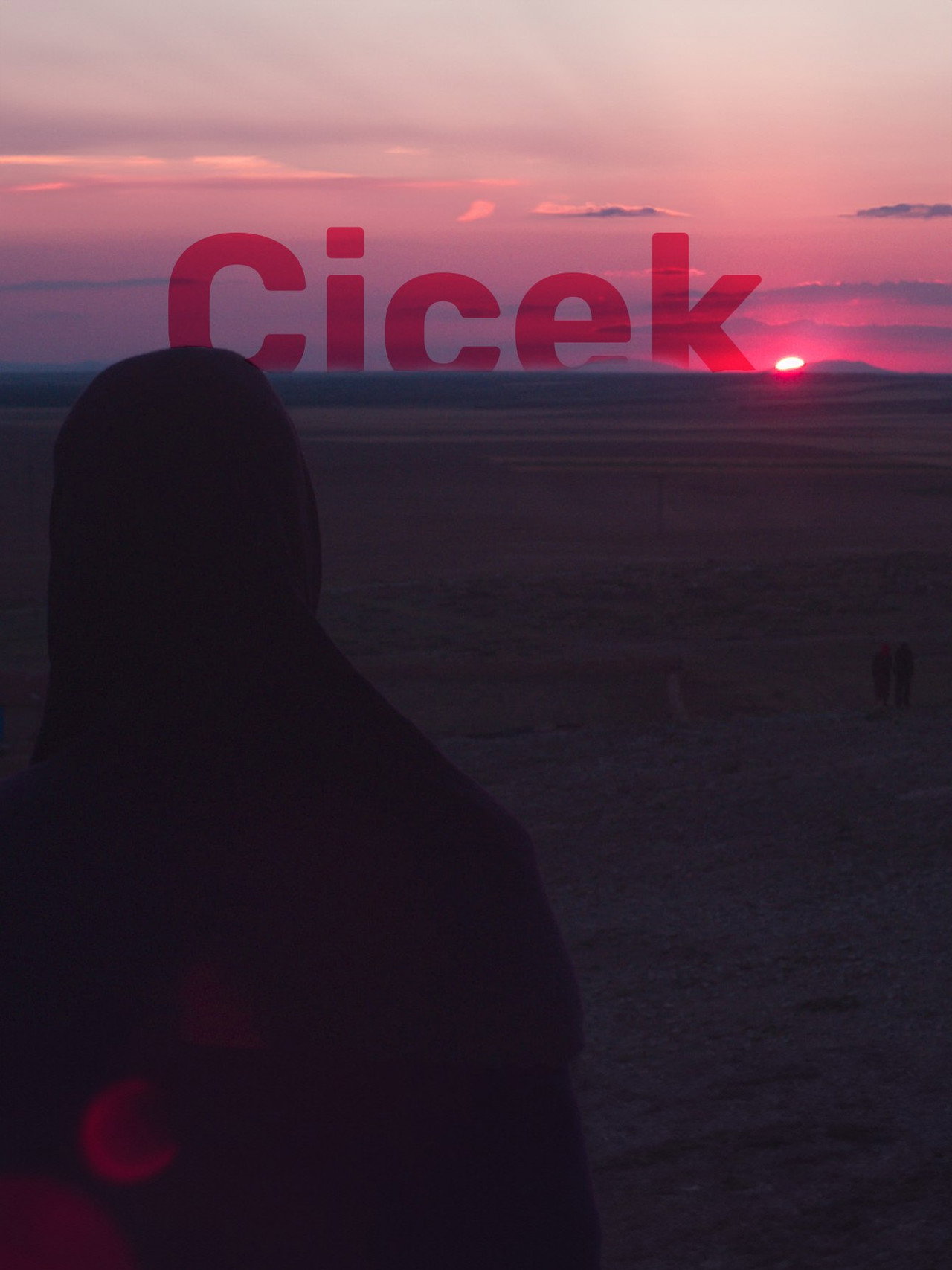 Çiçek filmaffisch