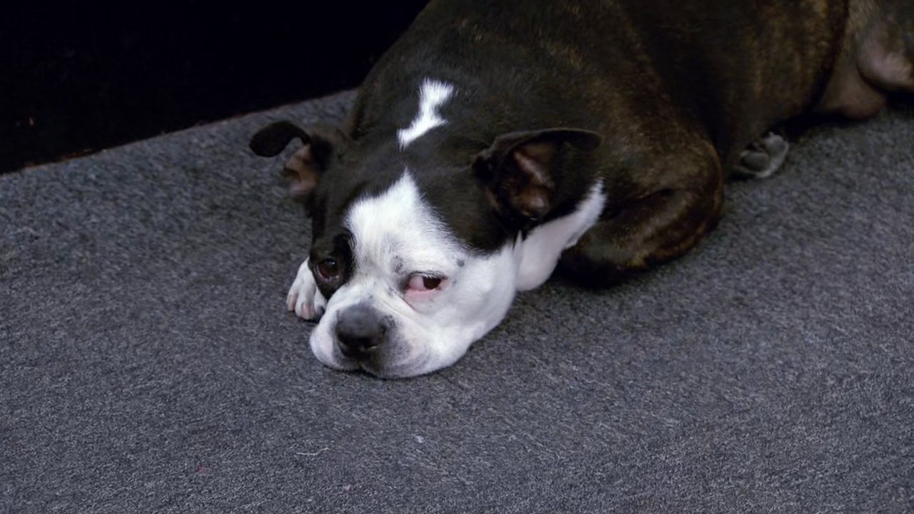 Finale: Go Big or Go Home