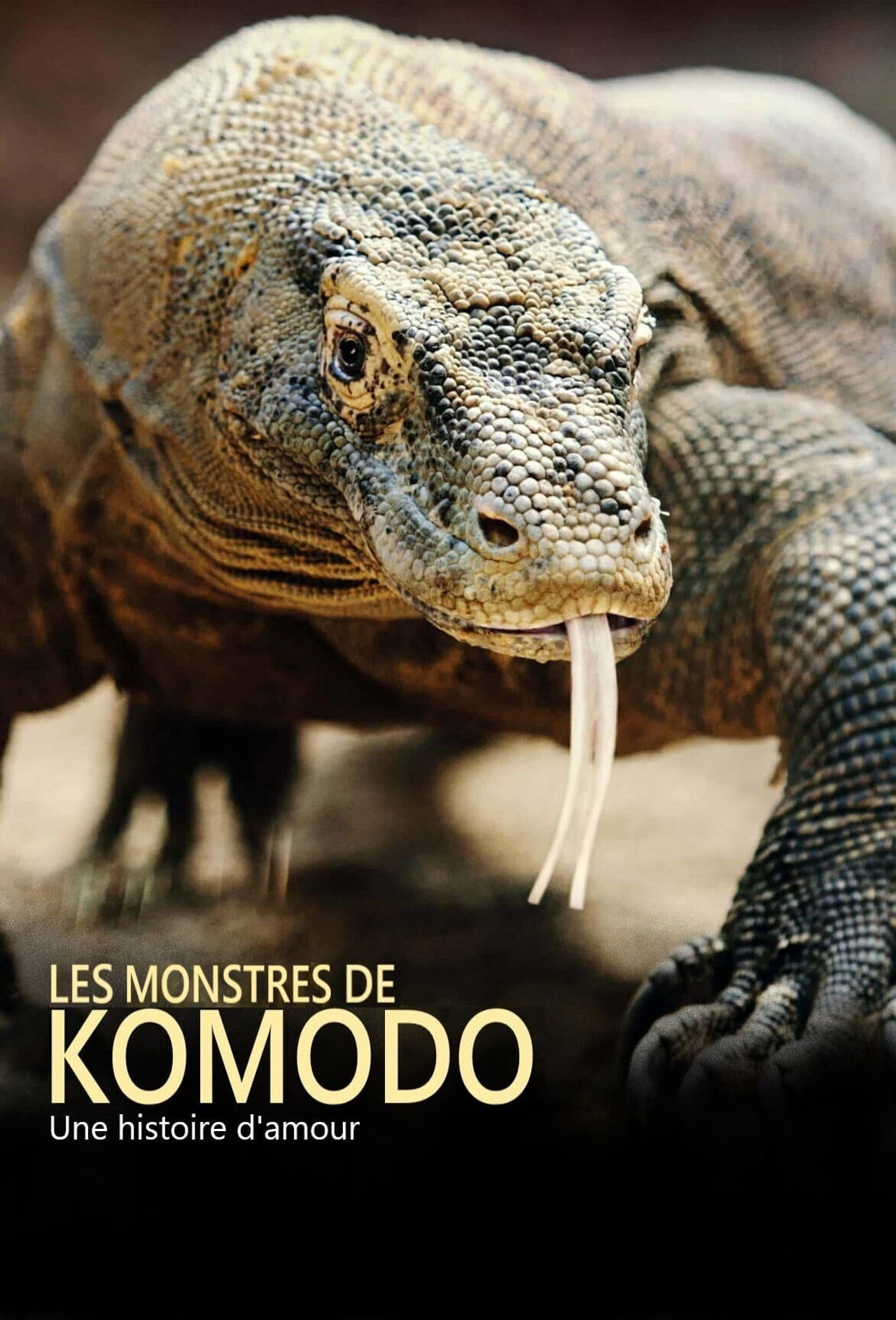 Les monstres de Komodo : une histoire d'amour Backdrop
