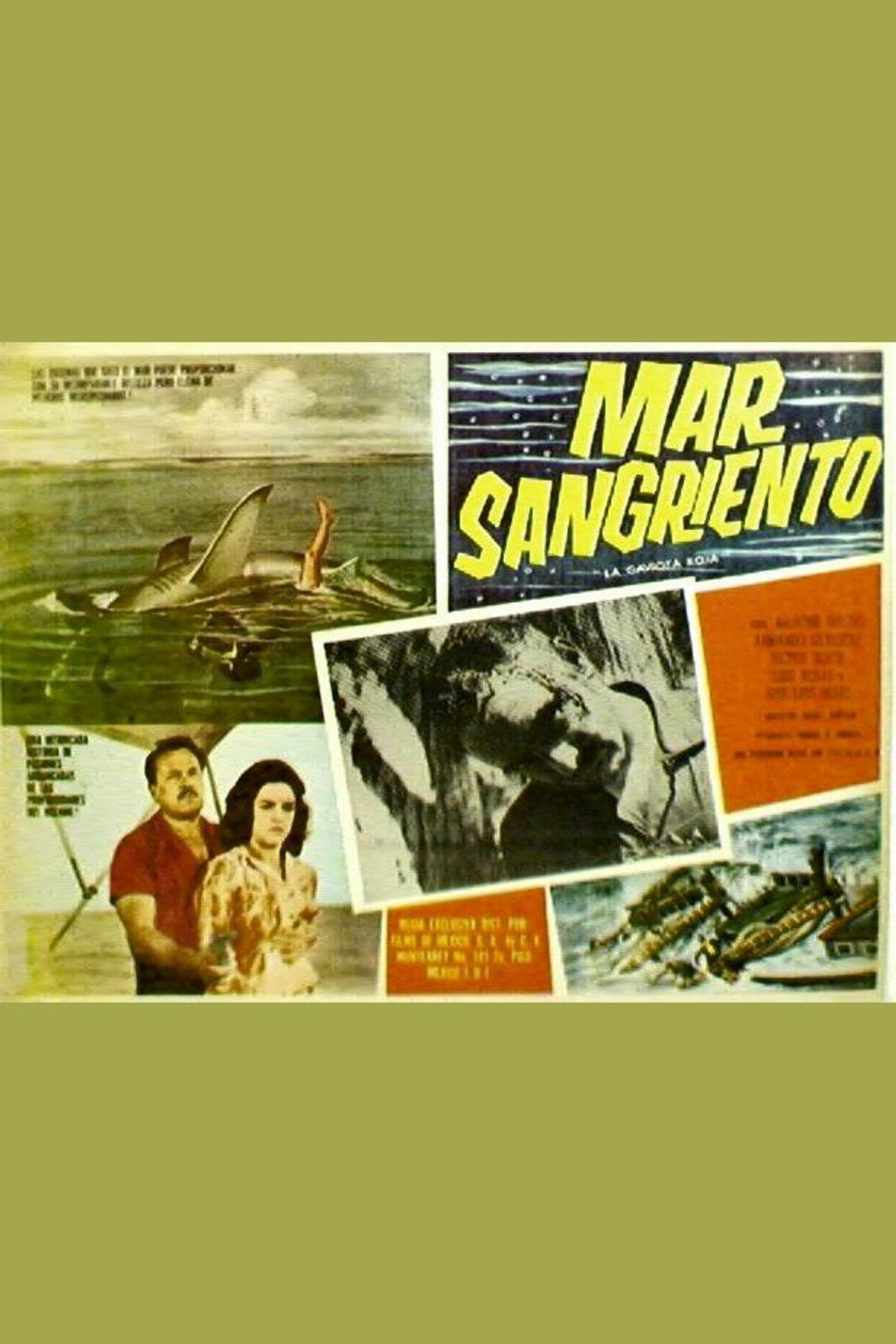 Mar sangriento (La gaviota roja)