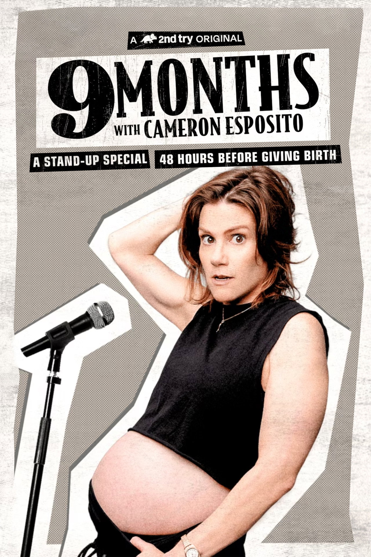 Cameron Esposito: Nine Months filmaffisch