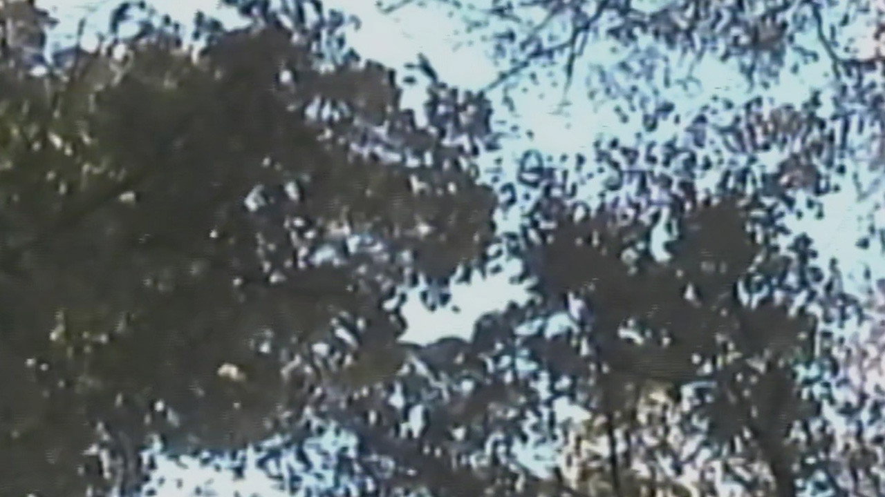 SUBSURFACE still 6