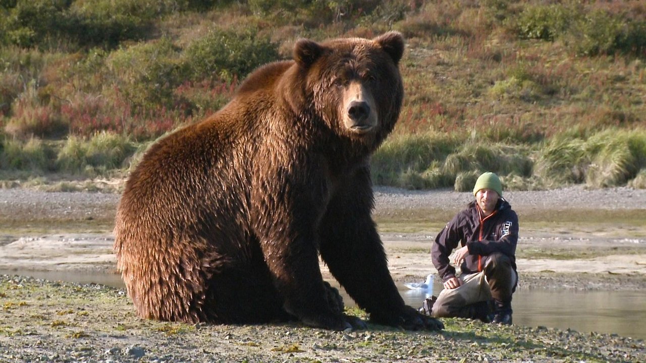 Der Bär in mir background