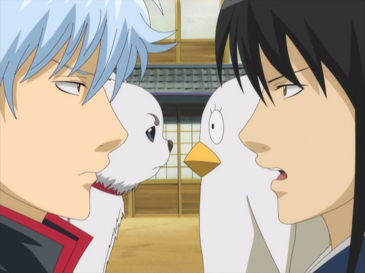 Gintama - Season 1 Episode 15 : Pets Resemble Their Owners!