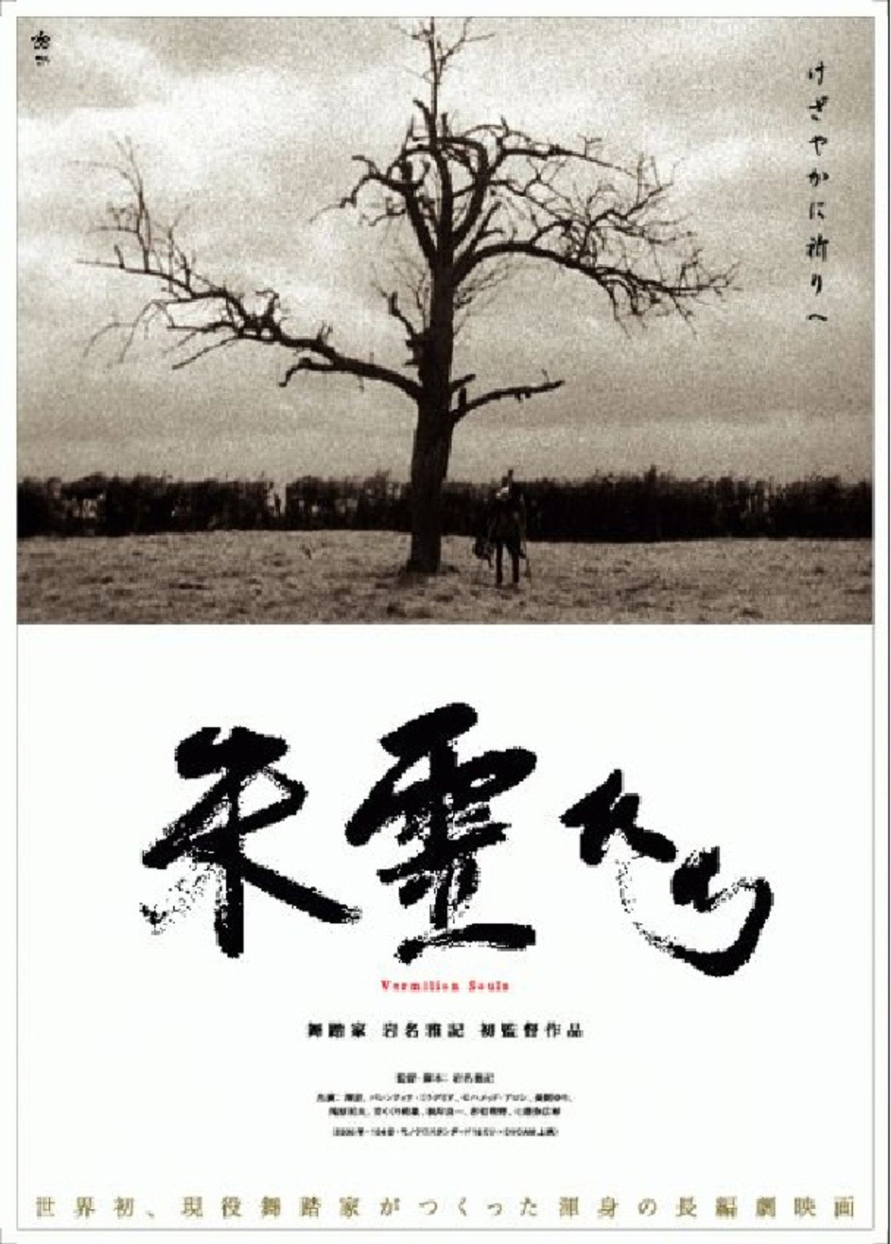 朱霊たち filmaffisch