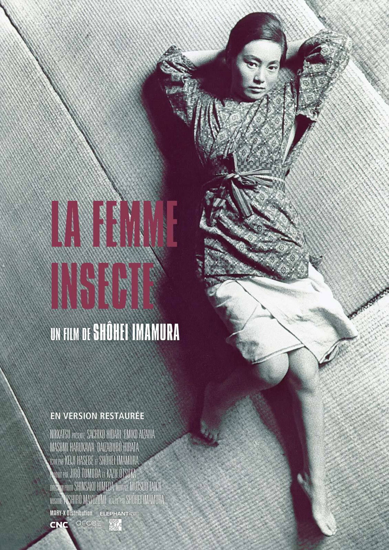 La Femme Insecte poster