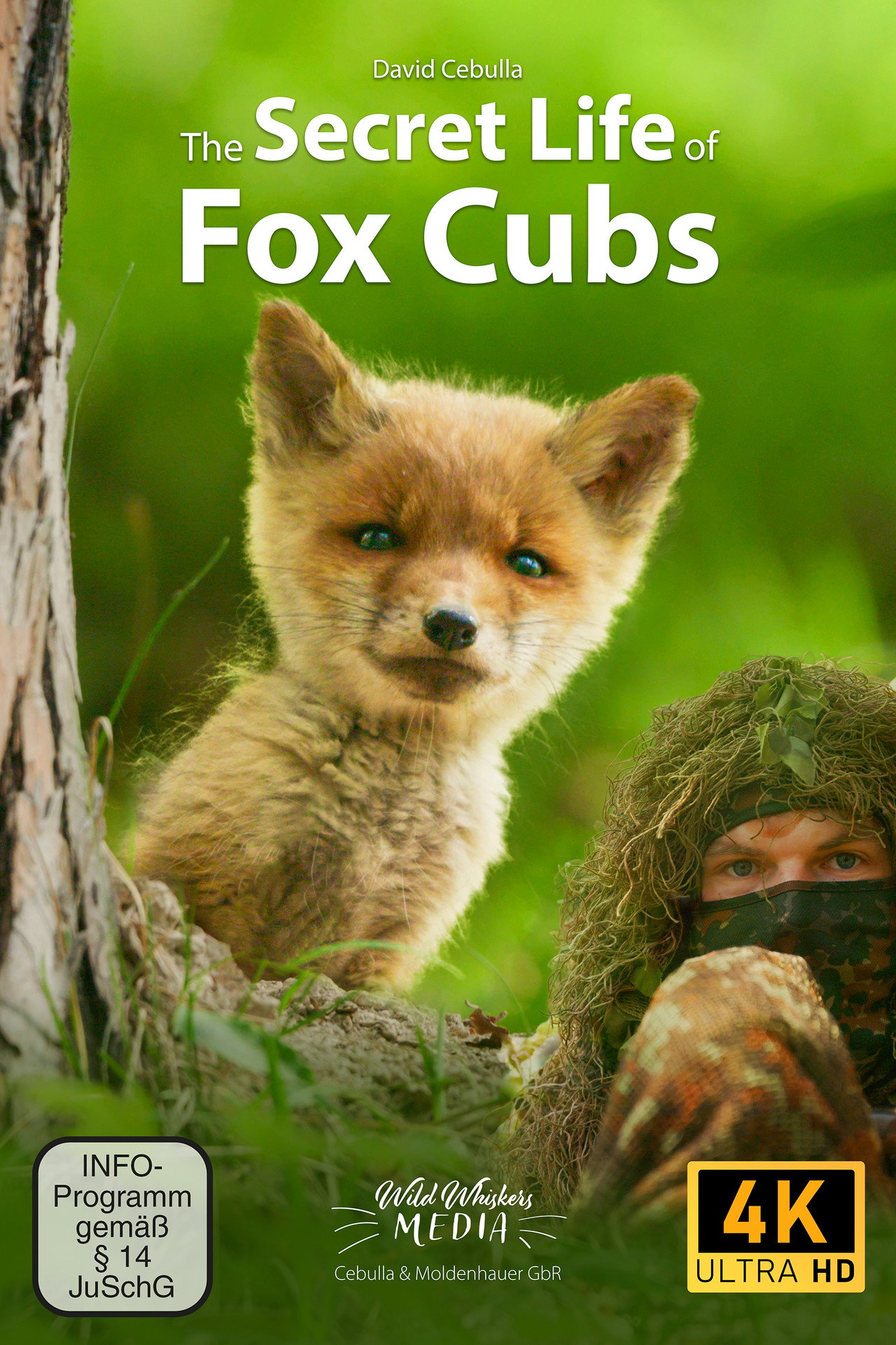 The Secret Life of Fox Cubs