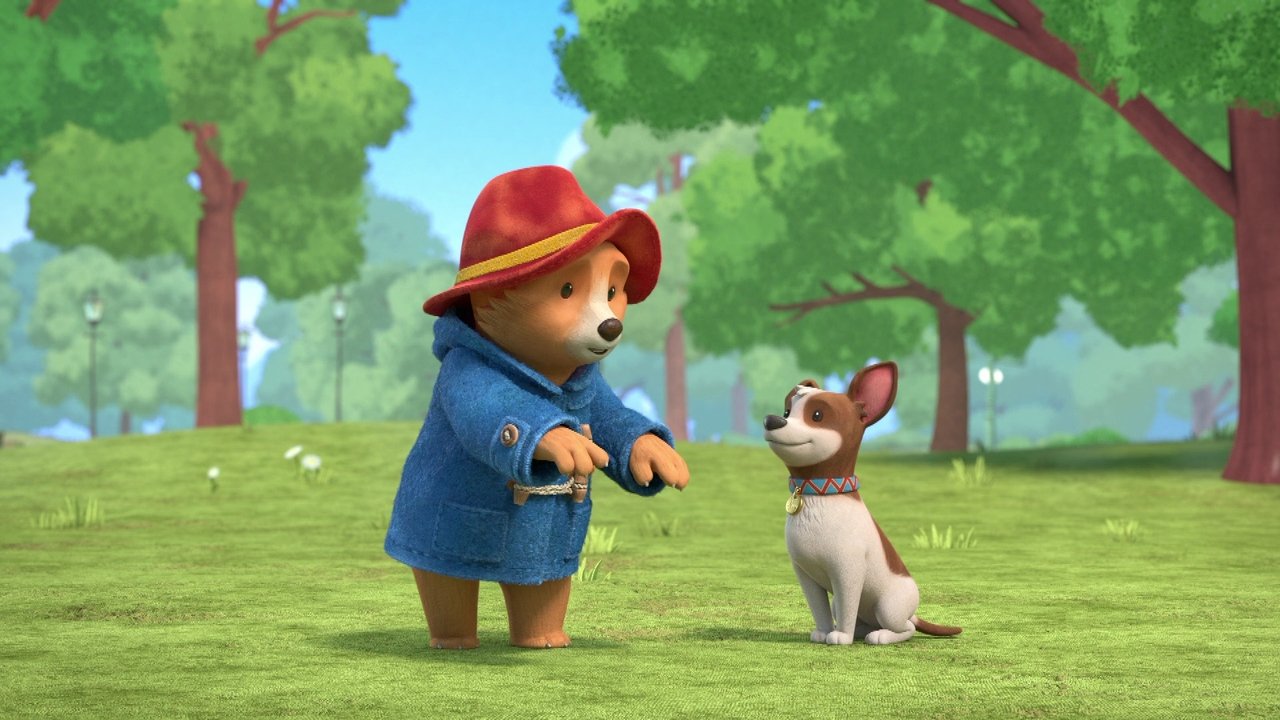 Paddington Meets Lucky