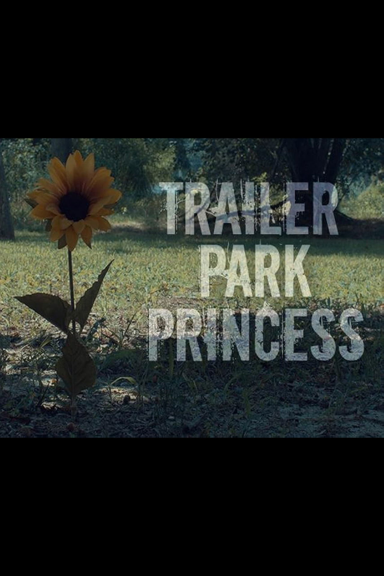 Trailer Park Princess Backdrop