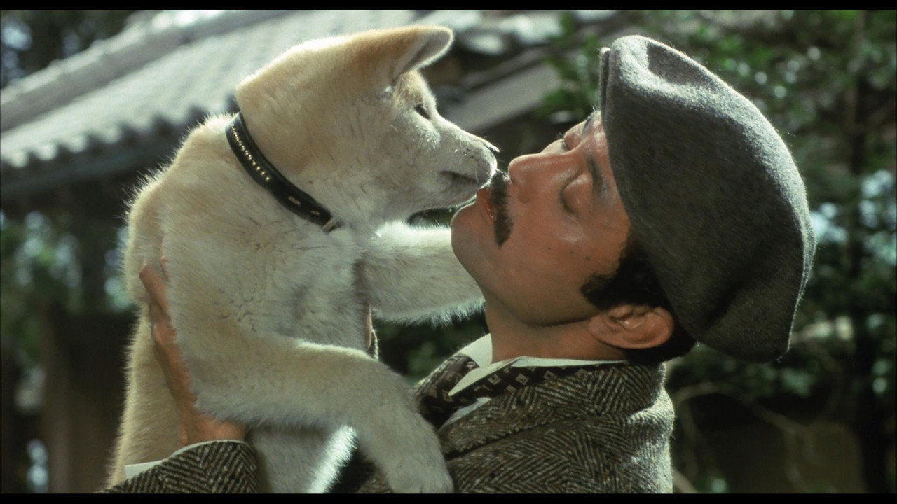 Hachiko Wahre Freundschaft währt ewig Film 1987 Moviebreak.de