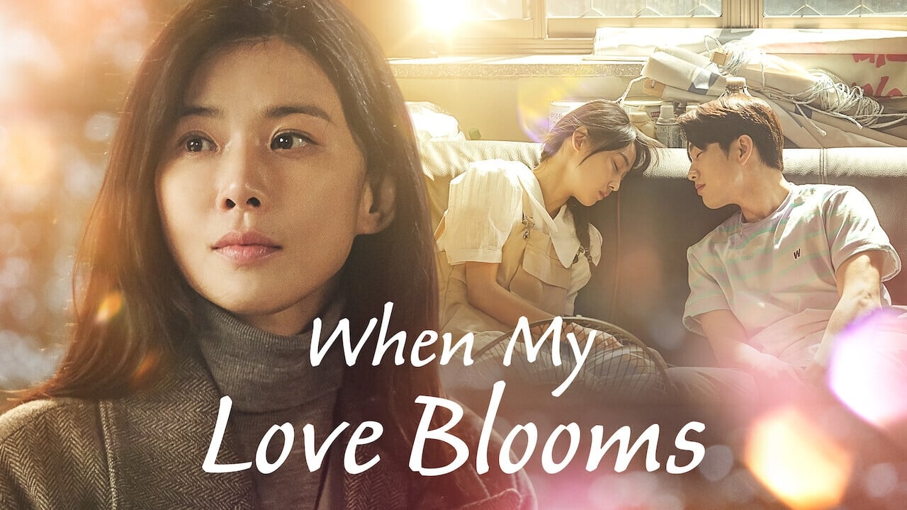 When My Love Blooms background