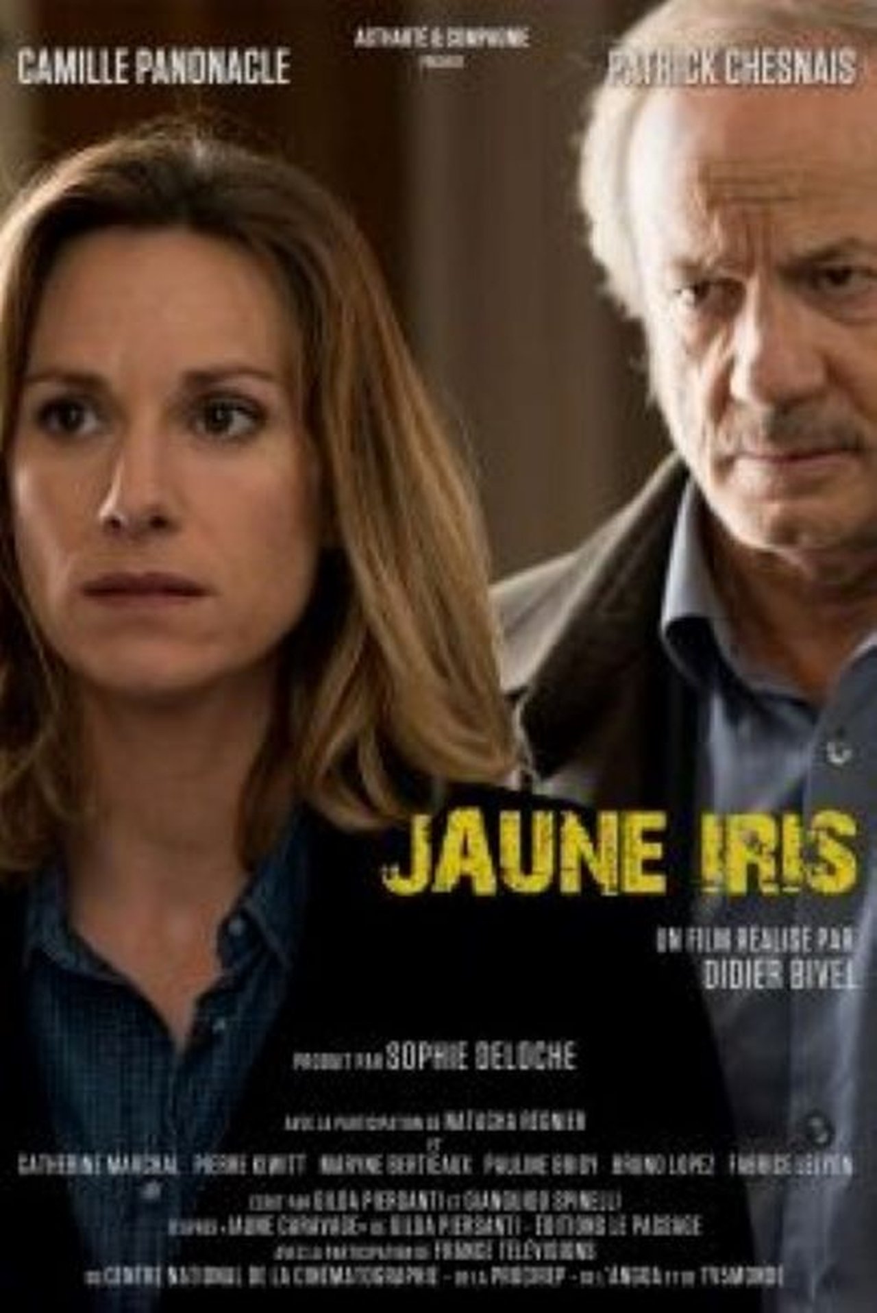 Jaune Iris poster