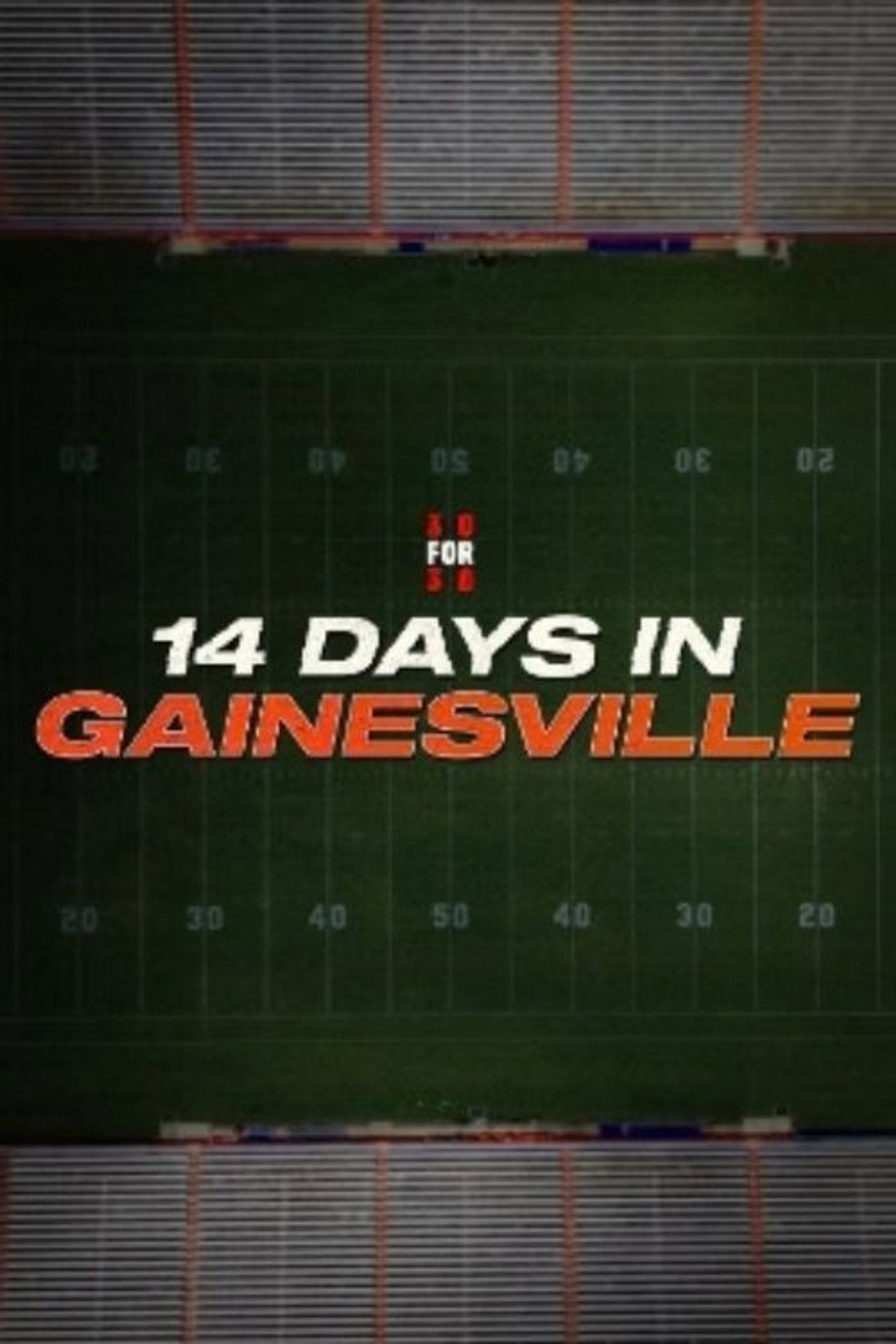 14 Days in Gainesville poster