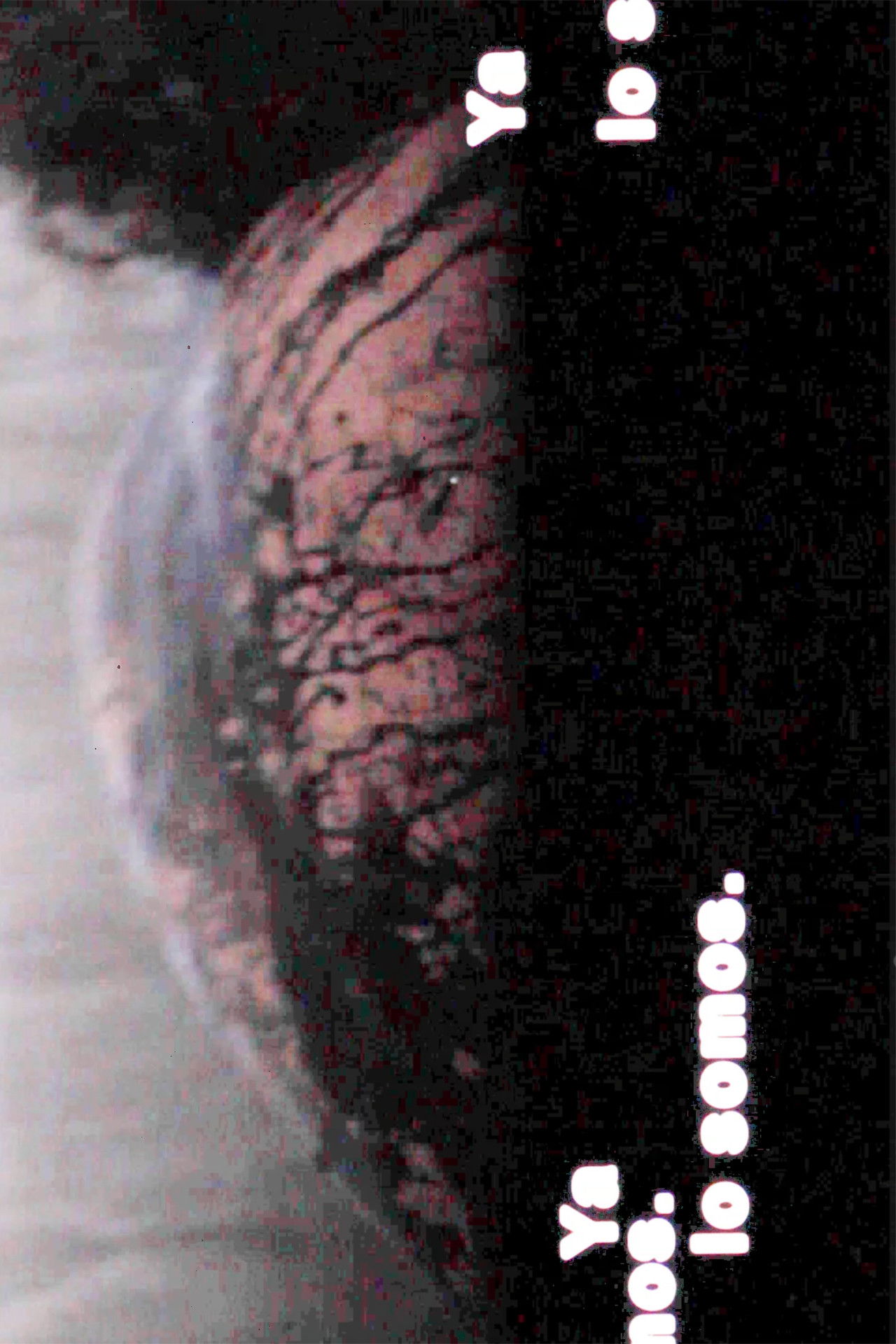 Ya lo somos Backdrop