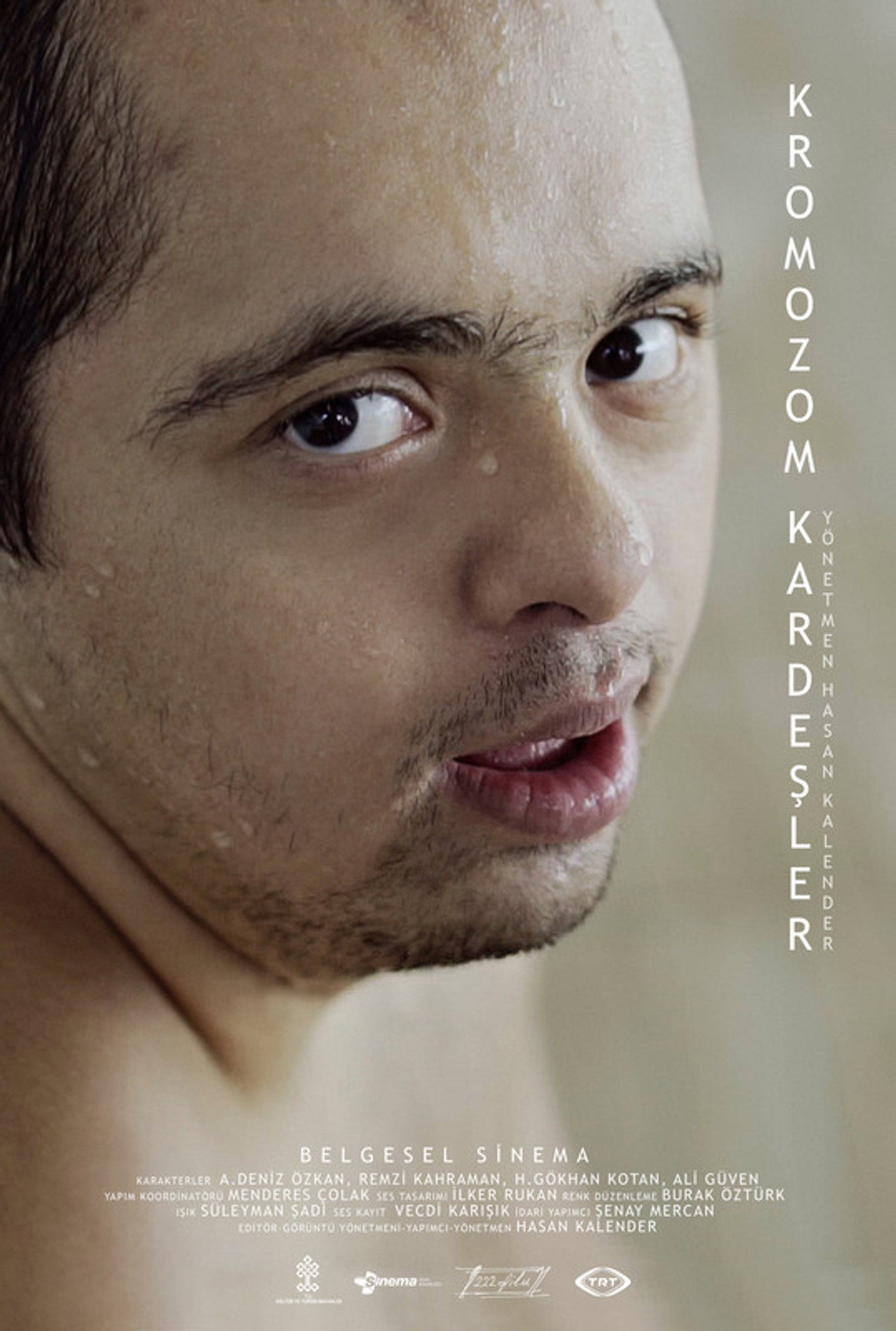 Kromozom Kardeşler filmaffisch