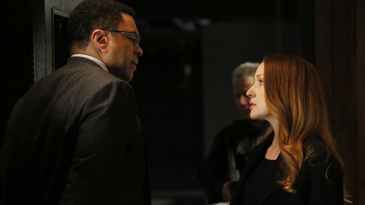 The Blacklist - Season 6 Episode 21 : Anna McMahon