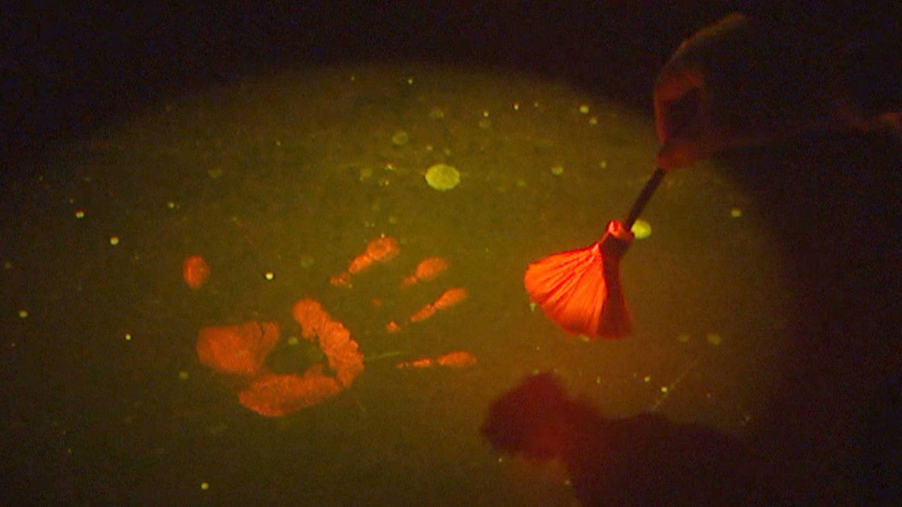 Forensic Firsts — Épisode 2