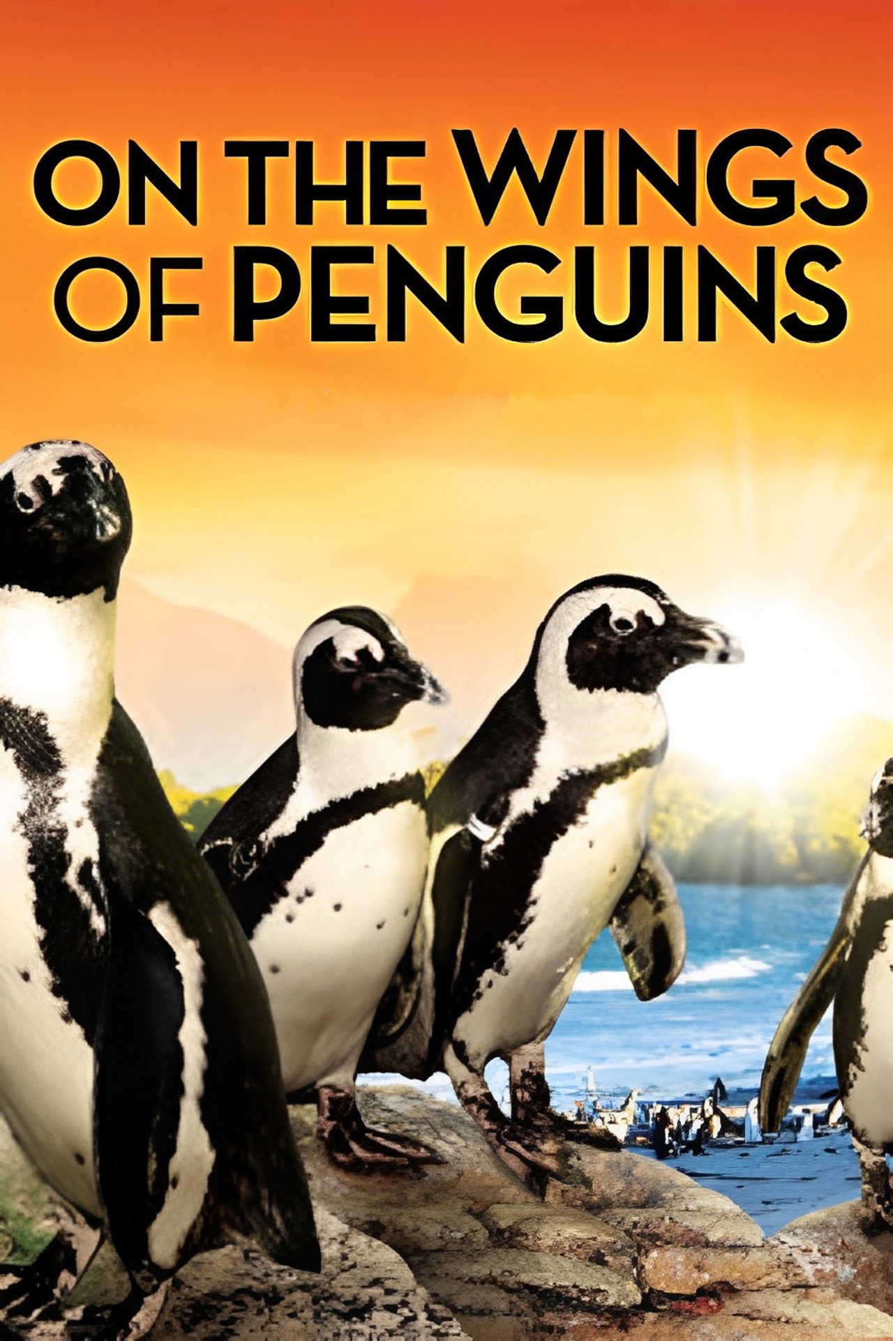On the Wings of Penguins