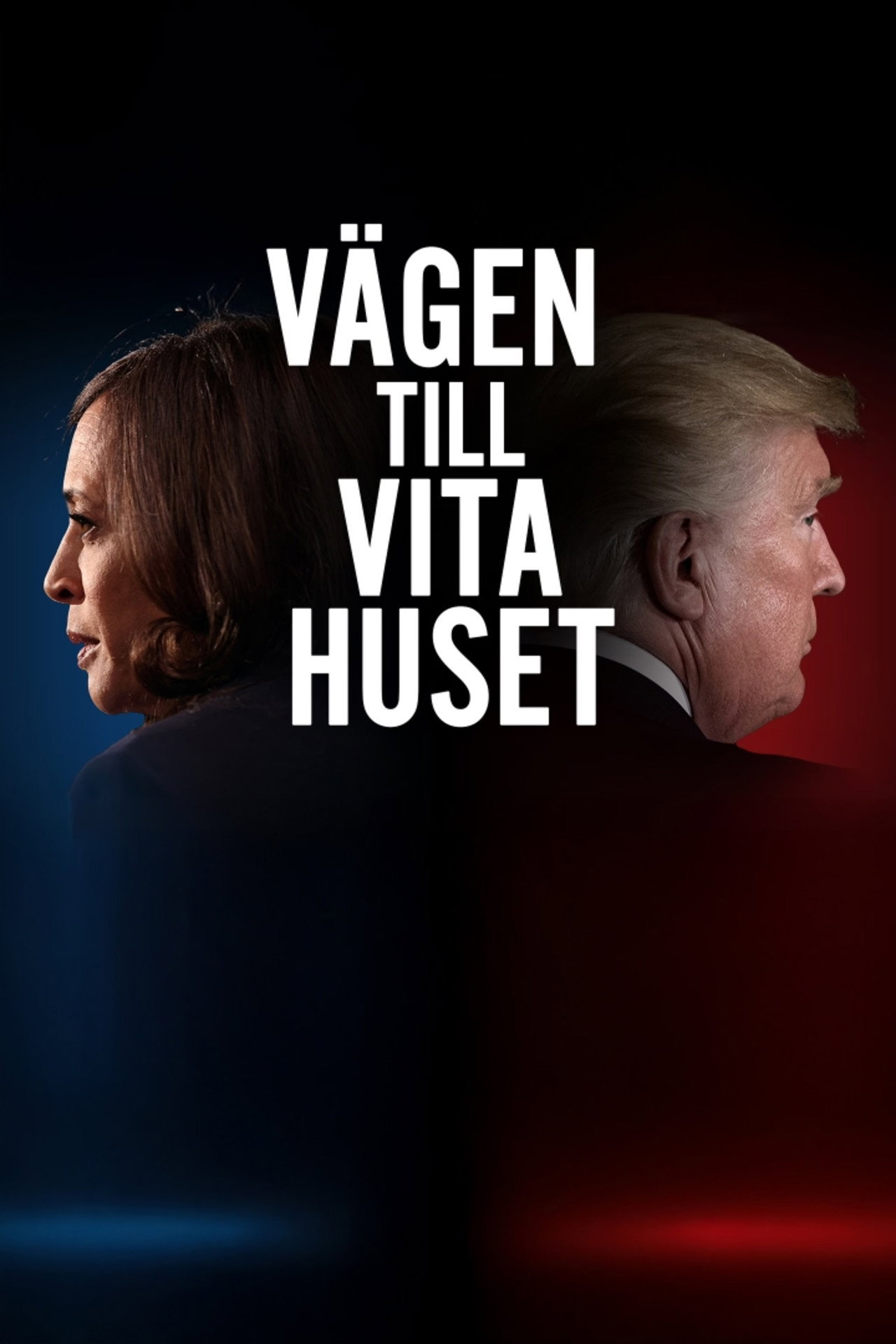 Vägen till Vita huset filmaffisch