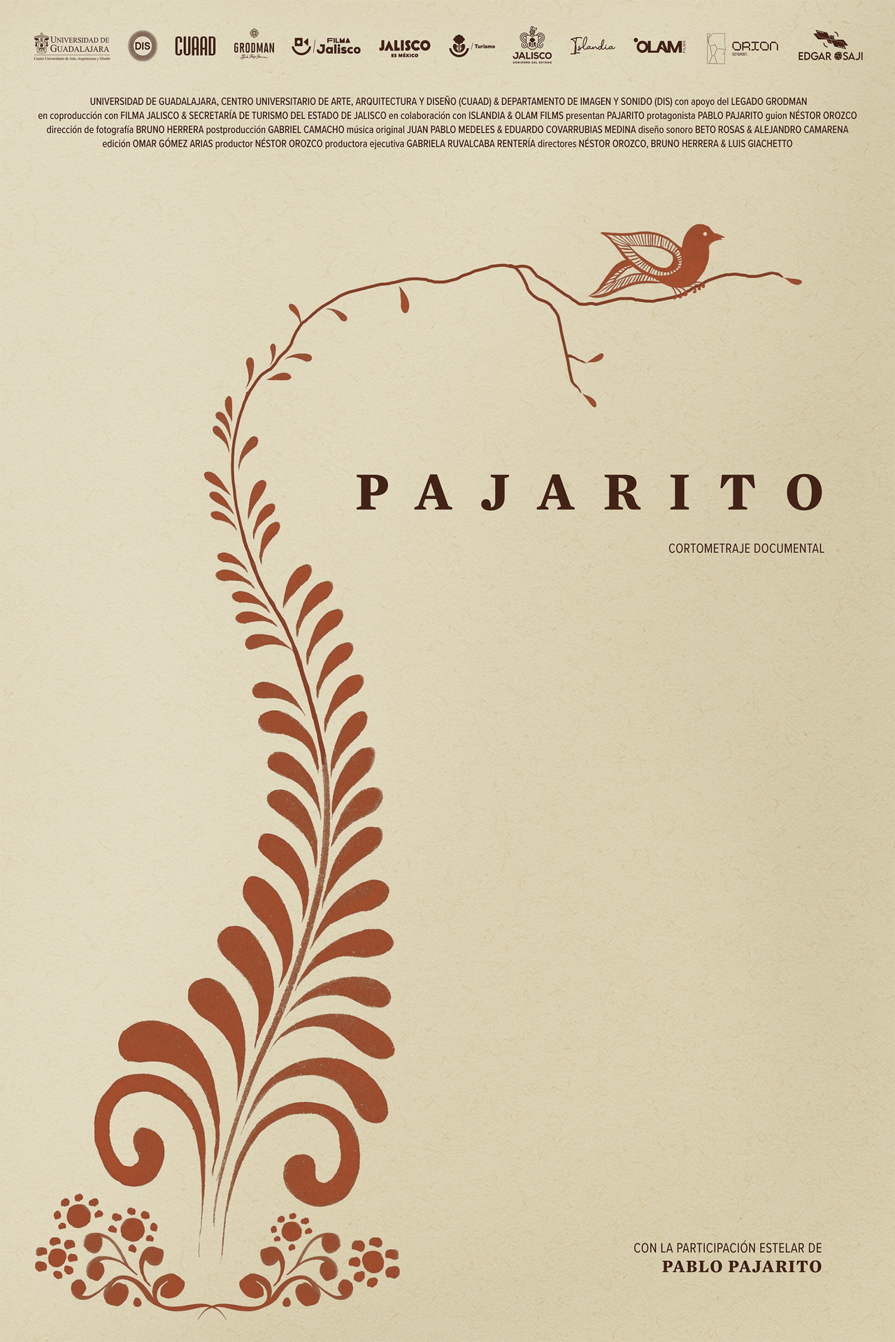 Pajarito poster