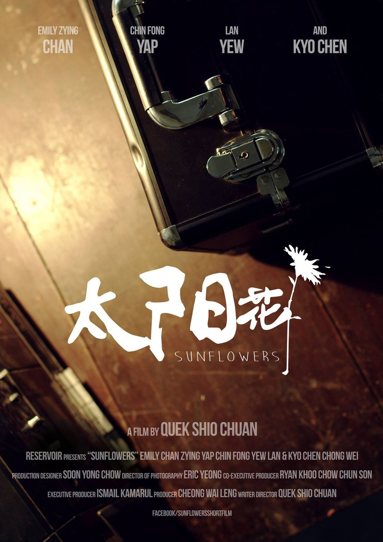太阳花 filmaffisch