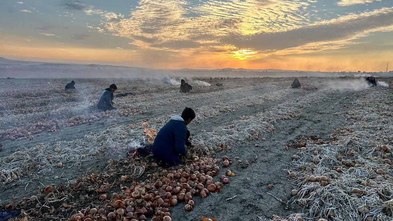 Reze e Dritës backdrop