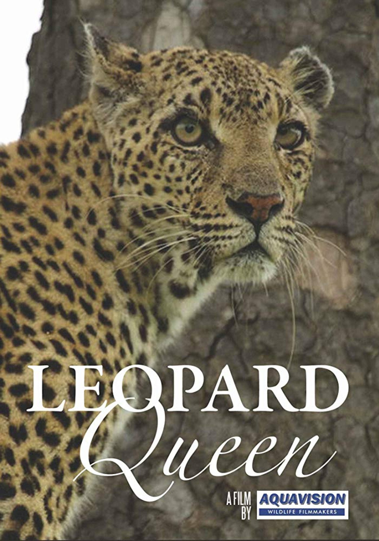 Leopard Queen filmaffisch