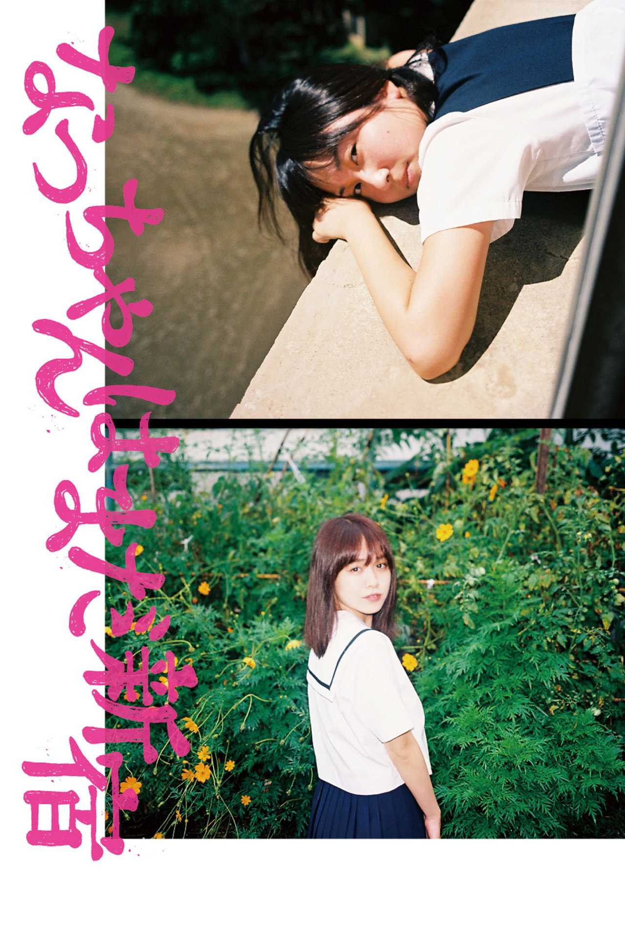 なっちゃんはまだ新宿 filmaffisch