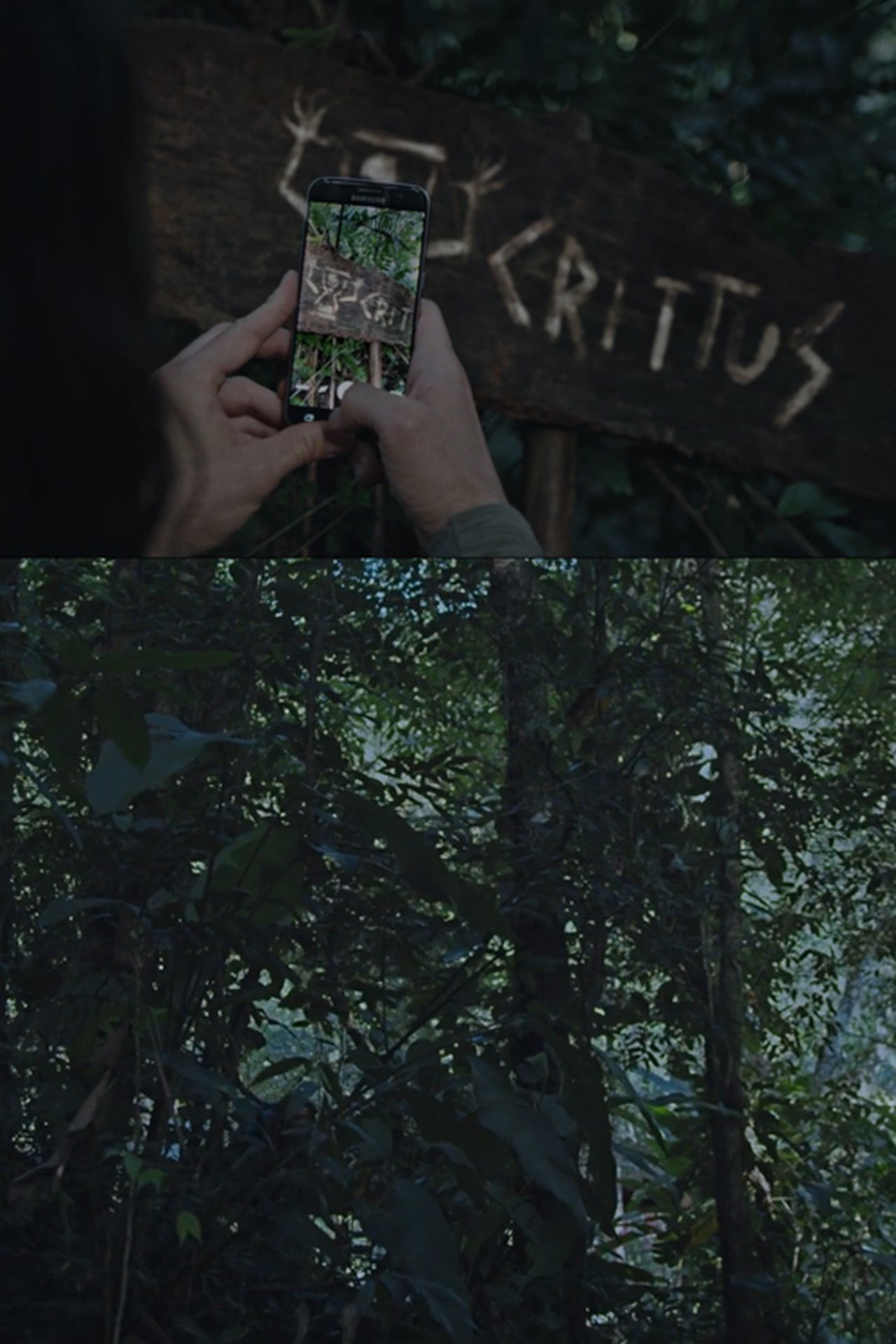 Crittus Crittus