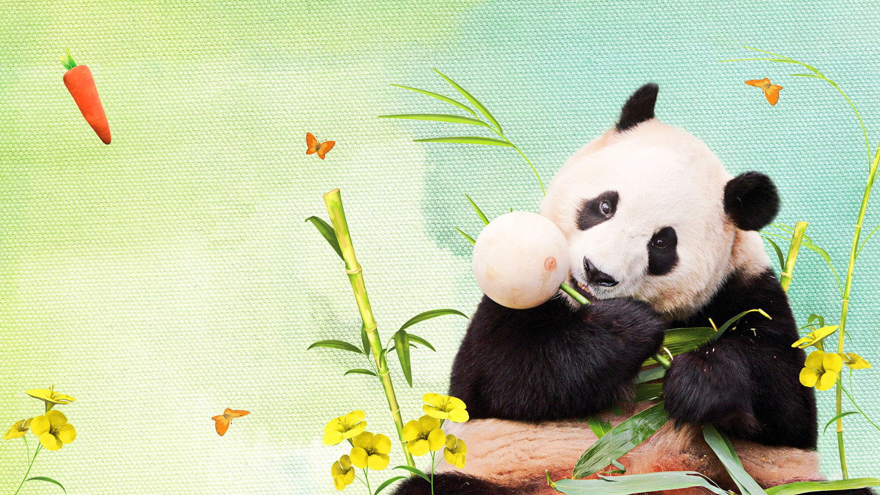 Watch My Dearest Fu Bao Official Trailer 2024