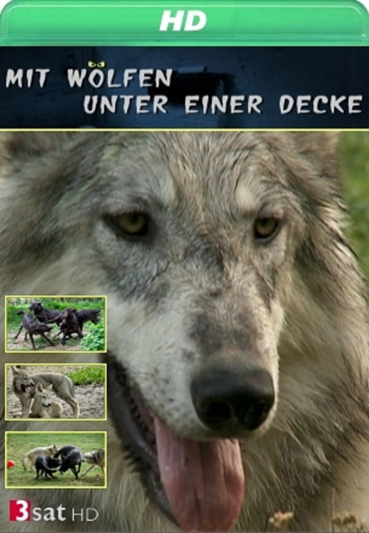 Mit Wölfen unter einer Decke affisch