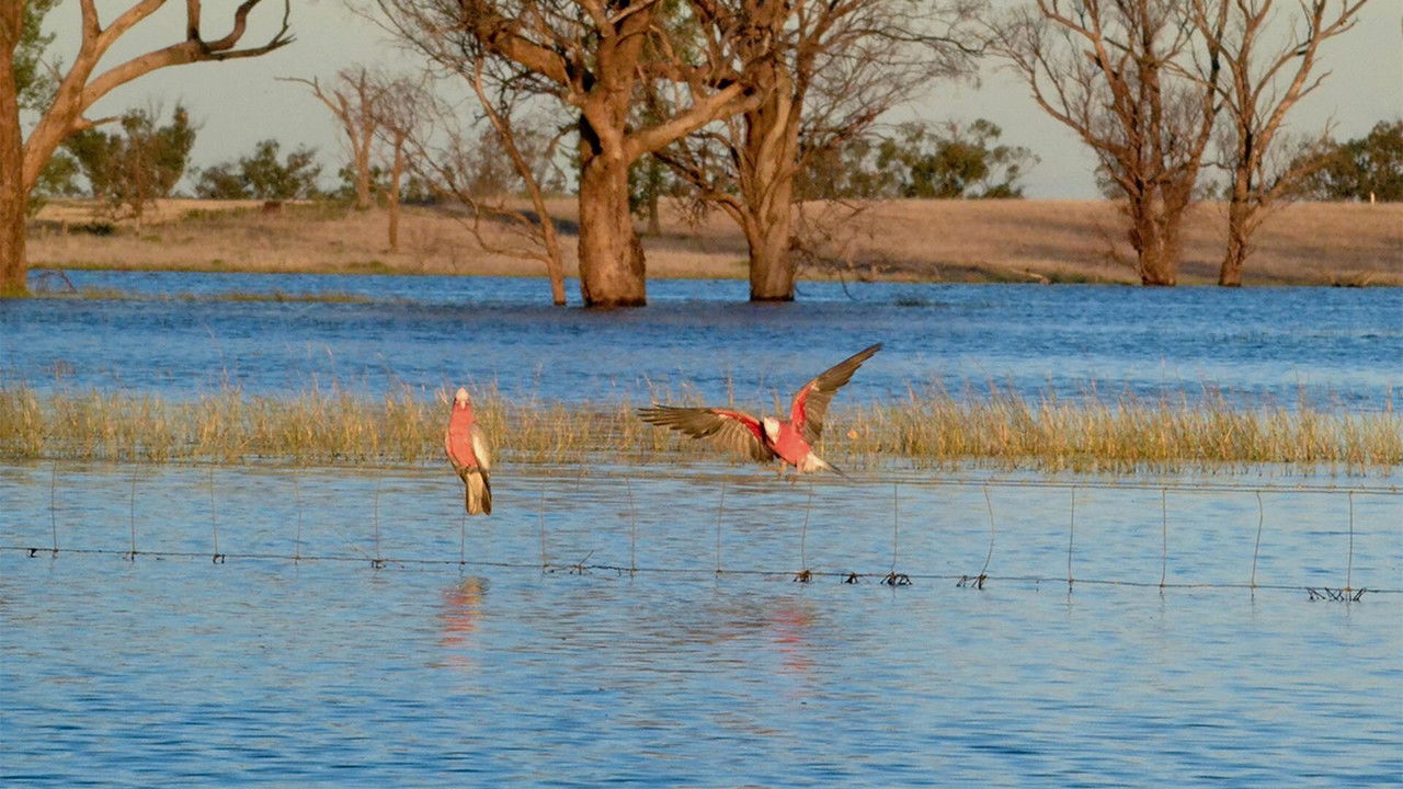 Australia Remastered — Épisode 4