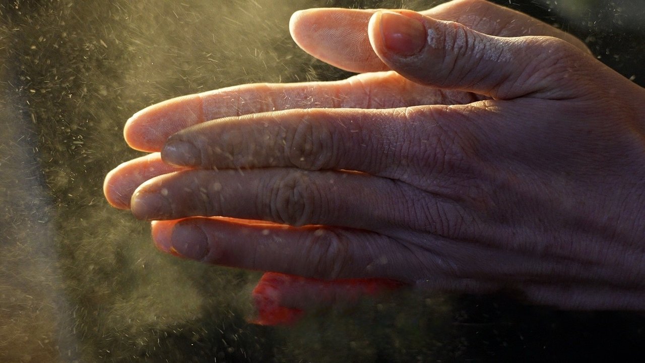 Unsere Hand – Geniestreich Der Evolution