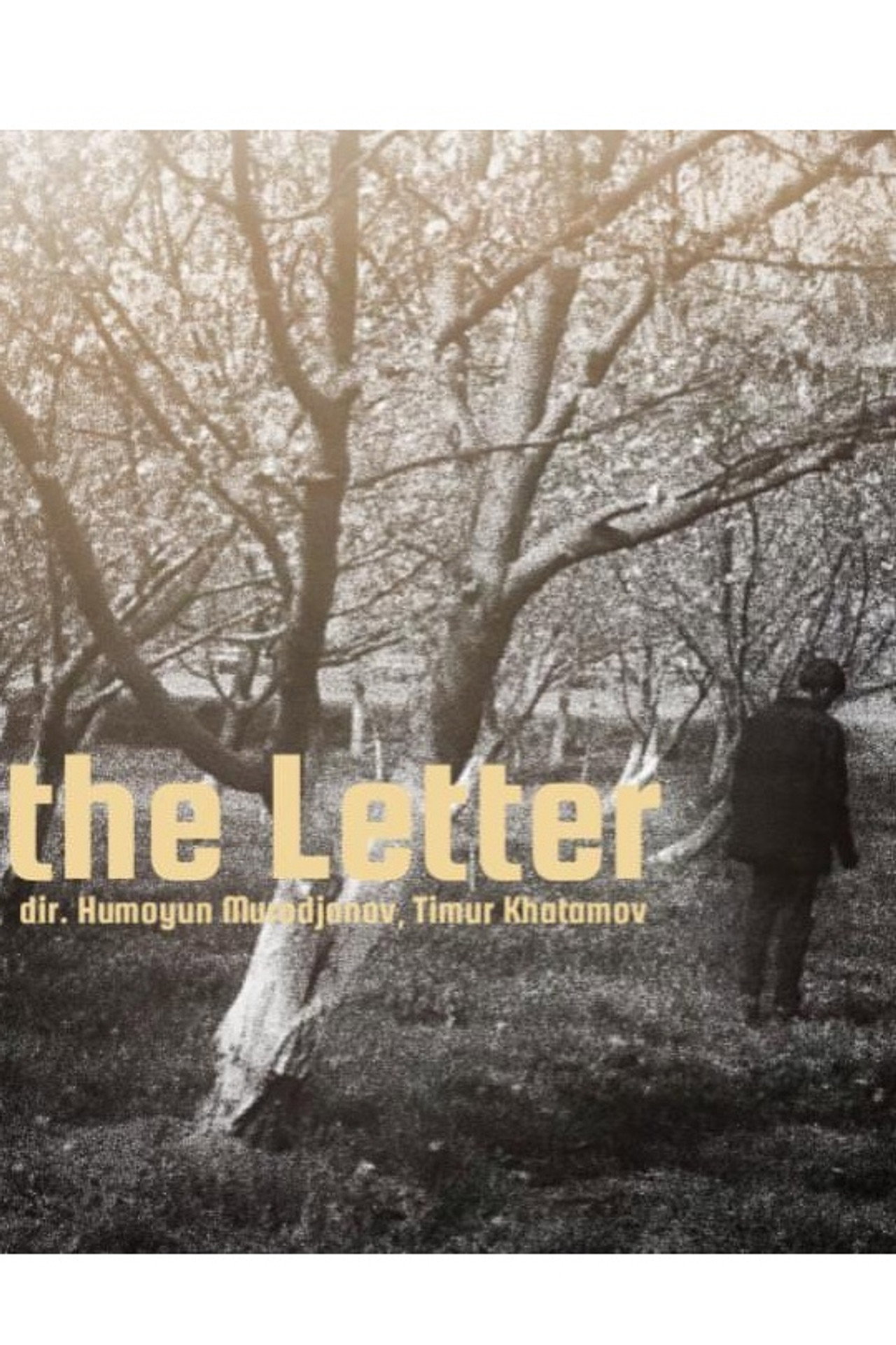 The Letter poster