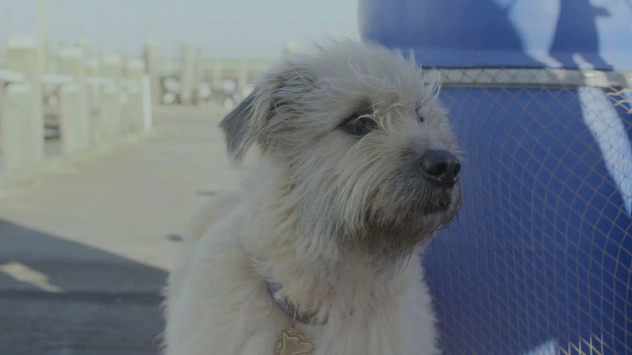 Kosmoo — Épisode 10