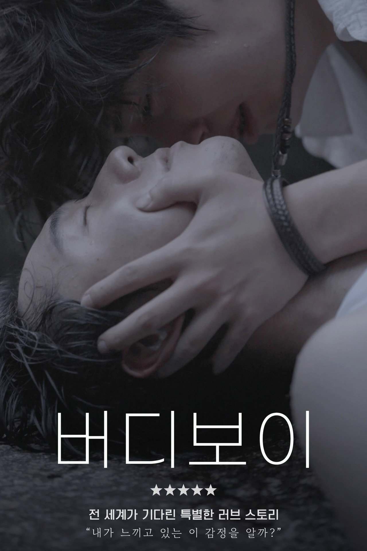 버디보이 affisch