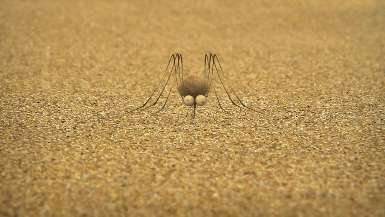 The mosquito of the caribbean
