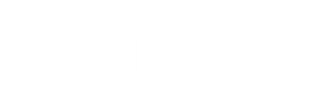 Билет в один конец на Луну
