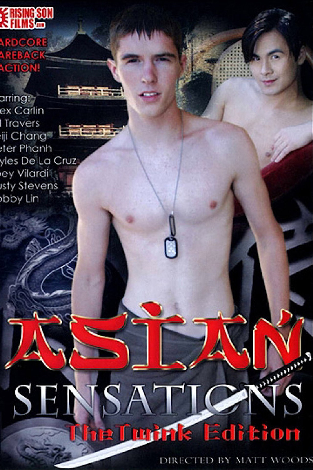 Asian Sensations: The Twink Edition filmaffisch